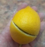 Limon2.JPG