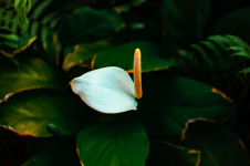 1693016536936.png 1693016536936.png