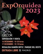 Expo Madrid 16 y 17 Dicembre 2023.jpg