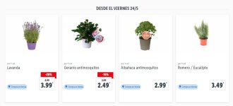 lidl290524.jpg