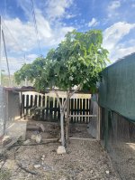 IMG_1424.jpeg