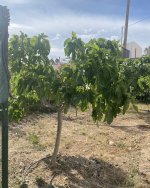 IMG_1422.jpeg