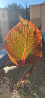 IMG_20250514_084548.jpg
