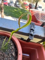 IMG_1231.jpeg