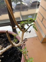IMG_8329.jpeg