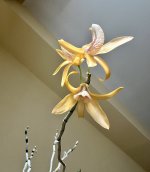 IMG_3414.jpeg