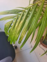 bb703cf0-fcec-46e8-9fcf-e537b1cd760c.jpg