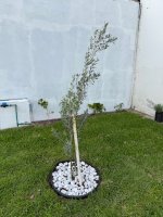 IMG_0293.jpeg