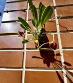 IMG_5989.jpeg