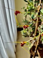 IMG_6018.jpeg