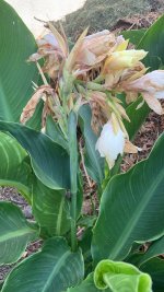 WhatsApp Image 2025-07-21 at 11.07.37.jpeg