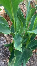 WhatsApp Image 2025-07-21 at 11.10.20.jpeg