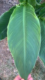 WhatsApp Image 2025-07-21 at 11.08.01.jpeg