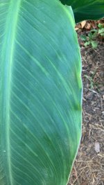 WhatsApp Image 2025-07-21 at 11.07.06.jpeg