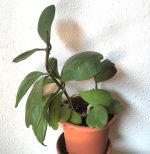 Imagen de WhatsApp 2025-08-11 a las 12.48.05_b250c27a.jpg