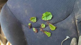 Adobe Express - file.jpg