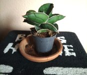 Imagen de WhatsApp 2025-08-25 a las 19.51.07_f48b9d83.jpg