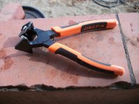 Alicate injerto pitaya  (25.08.25) 1.JPG