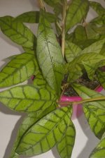 WhatsApp Image 2025-09-11 at 17.17.15.jpeg