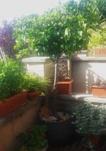 WhatsApp Image 2025-09-11 at 11.03.15.jpeg