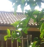 WhatsApp Image 2025-09-11 at 11.03.14 (3).jpeg