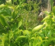 WhatsApp Image 2025-09-11 at 11.03.14 (2).jpeg