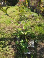 WhatsApp Image 2025-09-12 at 15.10.32 (1).jpeg