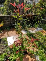 WhatsApp Image 2025-09-12 at 15.10.34.jpeg