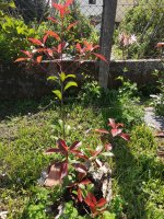 WhatsApp Image 2025-09-12 at 15.10.33 (1).jpeg