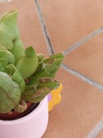 WhatsApp Image 2025-09-17 at 11.27.45 (1).jpeg