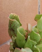 WhatsApp Image 2025-09-17 at 11.27.45.jpeg