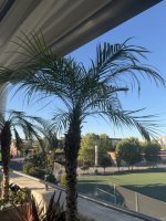 IMG_2147 en tamaño mediano.jpeg