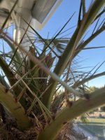 IMG_2149 en tamaño mediano.jpeg