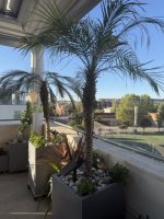 IMG_2150 en tamaño mediano.jpeg