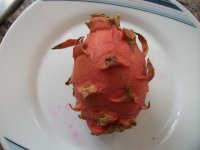 Pitaya Frankie`s Red, cosecha (13.09.25).JPG