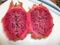 Pitaya Frankie`s Red, mitades (13.09.25).JPG