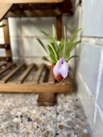 IMG_8440.jpeg