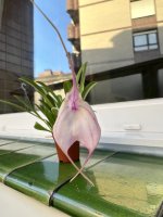 IMG_8246.jpeg
