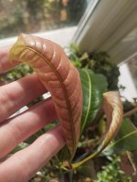 WhatsApp Image 2025-12-02 at 12.39.43.jpeg