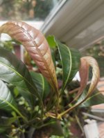 WhatsApp Image 2025-12-02 at 12.39.42.jpeg