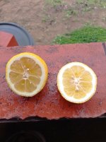 Patrón de Lane Late, fruto mitades (30.11.25).jpg