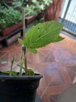 WhatsApp Image 2026-01-18 at 12.26.37.jpeg