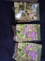 Lidl 29-01-2026.jpeg