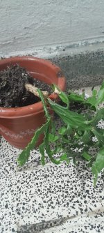 WhatsApp Image 2026-01-30 at 9.39.19 PM.jpeg