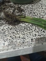 WhatsApp Image 2026-01-30 at 9.39.20 PM.jpeg