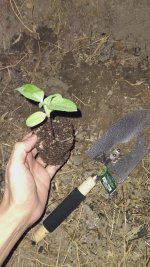 20260213_181836 (2).jpg