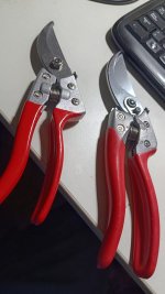 WhatsApp Image 2026-02-18 at 21.26.47.jpeg