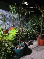 WhatsApp Image 2026-02-20 at 21.37.01.jpeg