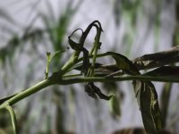 WhatsApp Image 2026-02-20 at 21.37.02 (1).jpeg