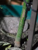 WhatsApp Image 2026-02-20 at 21.37.02 (2).jpeg